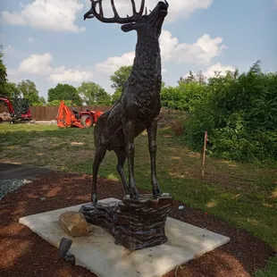 The buck sculpture stands to the right of the axe throwing building.