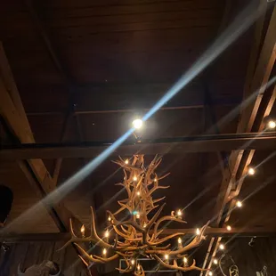 interior, sushi and sashimi