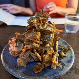 Gobo Chips