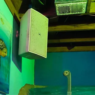 You can tell no one has bothered to clean this place in years