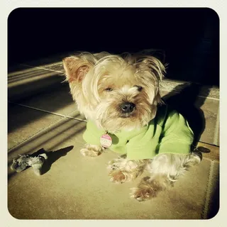 Milly P.
