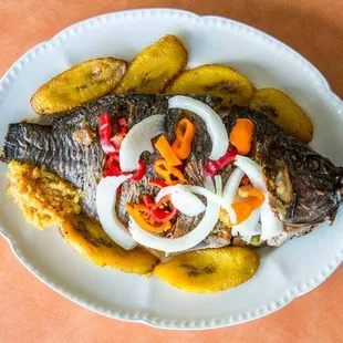 shellfish, oysters and mussels, oysters, mussels, food