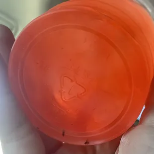 a person holding an orange frisbee