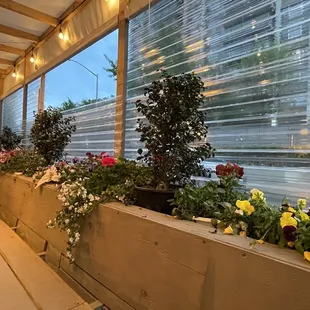 a man sitting on a bench in front of a row of flowers