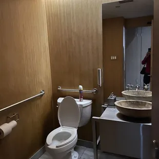 Single restroom- spacious!