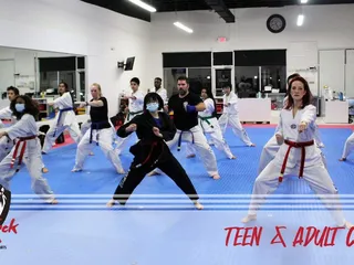 Master Kim's MegaKick Tae Kwon Do & Alpha Krav Maga