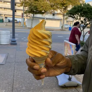 Vanilla &amp; Orange Sherbet