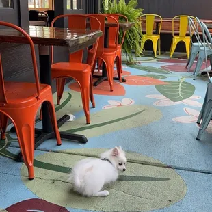Outside area