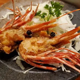 food, sushi, sushi and sashimi, sashimi