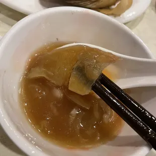 Shark Fin Soup
