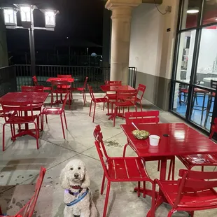 The patio to eat outside for lunch or dinner with my best friend Einstein     He gets the edamame &amp; miso soup a lot :)