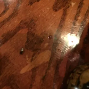 So. That&apos;s a cockroach. On my hibachi table. One of many.