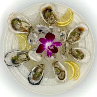 Kumamoto Oysters w/ Spicy Karashi Ponzu and Fresh Kizami Wasabi

Oakland, WA