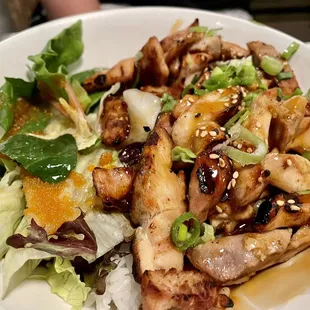 Chicken Teri Bowl