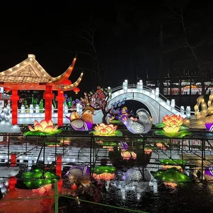 a chinese lantern display