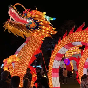 a dragon lantern