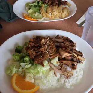 Teriyaki chicken with Gyoza and Spicy pork with chicken.