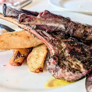 Grilled lamb chops