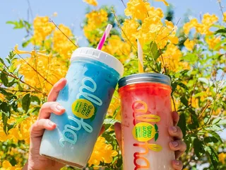 Wow Wow Hawaiian Lemonade - Scottsdale