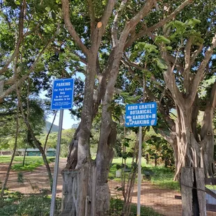 If you see these signs, you&apos;re parking at the right place...