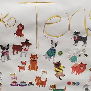 a picture of various dogs and cats