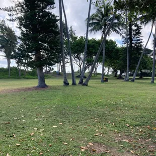 Nice to be on this side