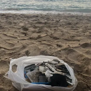 Debris picked up from the beach.