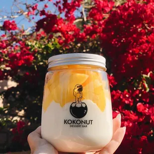 Coconut Pudding w/ Mango