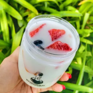 Coconut Pudding w/ Mixed Fruit