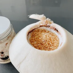 Coconut Pudding in the Shell