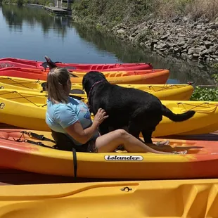 Dogs love kayaking!!!