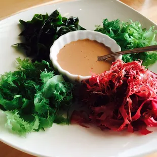 Seaweed Salad