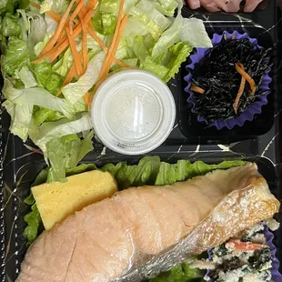 Salmon bento with tossed salad