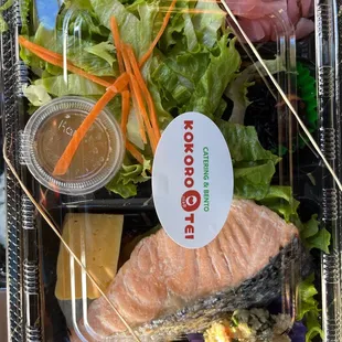 Salmon bento, all salad, no rice