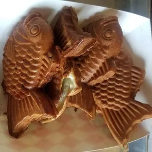 Tasty taiyaki