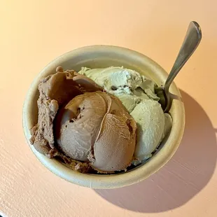 chocolate and mint chip