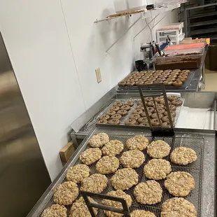 a line of doughnuts on a conveyor belt