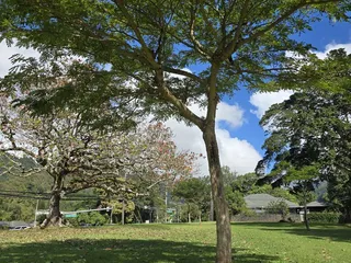 Nuuanu Valley Park