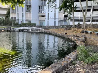 Kunawai Springs Urban Park