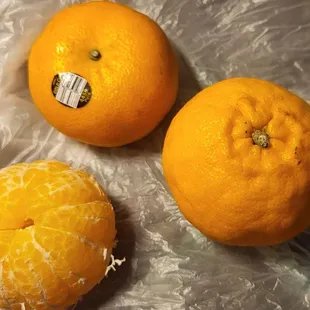 Look how BIG this manderines!