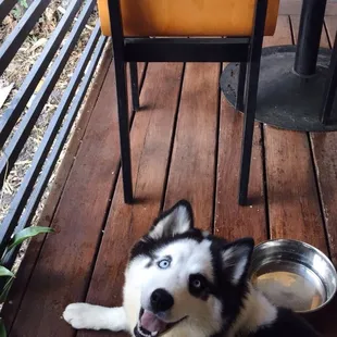Sweet girl enjoyed their beautiful patio setting!