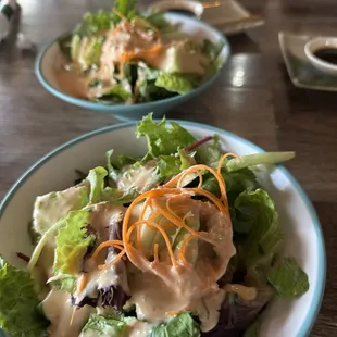 S1. Garden Salad