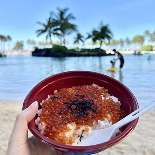 IKURA SALMON BOWL - $19.59 (Medium)