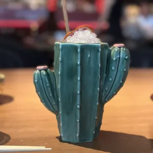 Pretty Fly for a Cacti