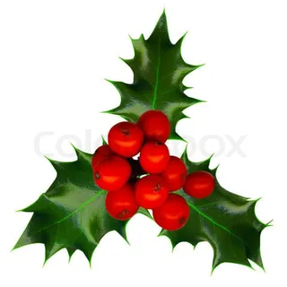 Holly A.