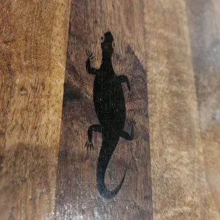 Gecko on the bar