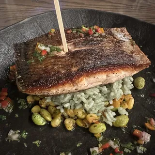 Salmon*