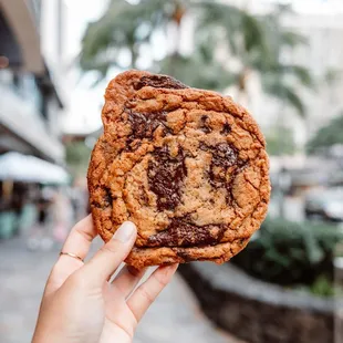 Chocolate Chip Cookie