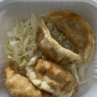 Fried Dumplings