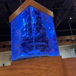 Aquarium y the booths